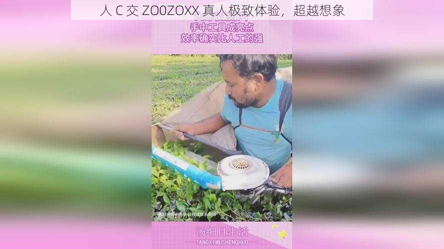 人 C 交 ZO0ZOXX 真人极致体验，超越想象