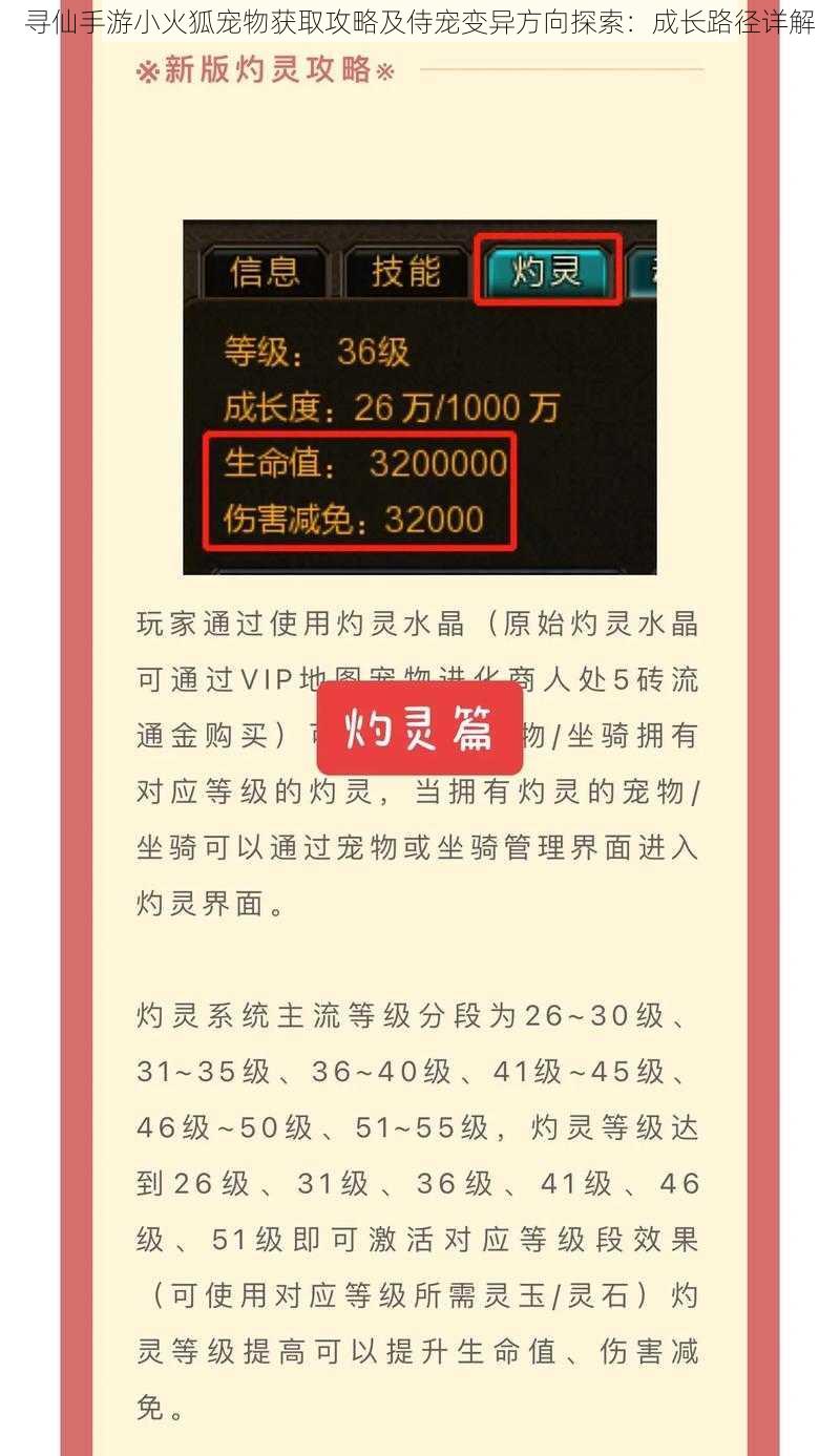 寻仙手游小火狐宠物获取攻略及侍宠变异方向探索：成长路径详解