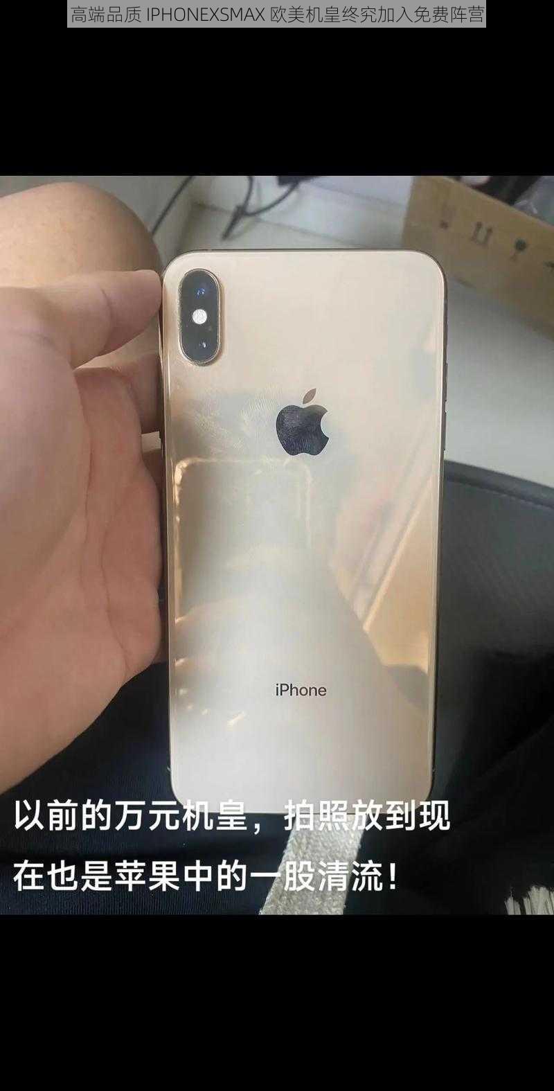 高端品质 IPHONEXSMAX 欧美机皇终究加入免费阵营