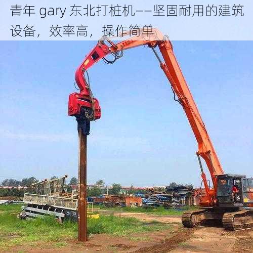 青年 gary 东北打桩机——坚固耐用的建筑设备，效率高，操作简单