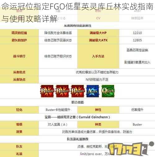 命运冠位指定FGO低星英灵库丘林实战指南与使用攻略详解