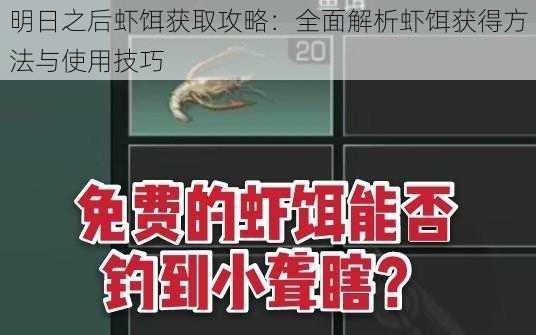 明日之后虾饵获取攻略：全面解析虾饵获得方法与使用技巧