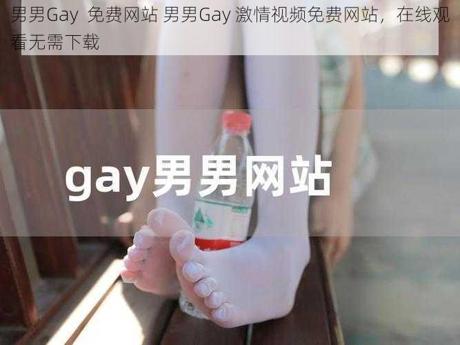 男男Gay  免费网站 男男Gay 激情视频免费网站，在线观看无需下载