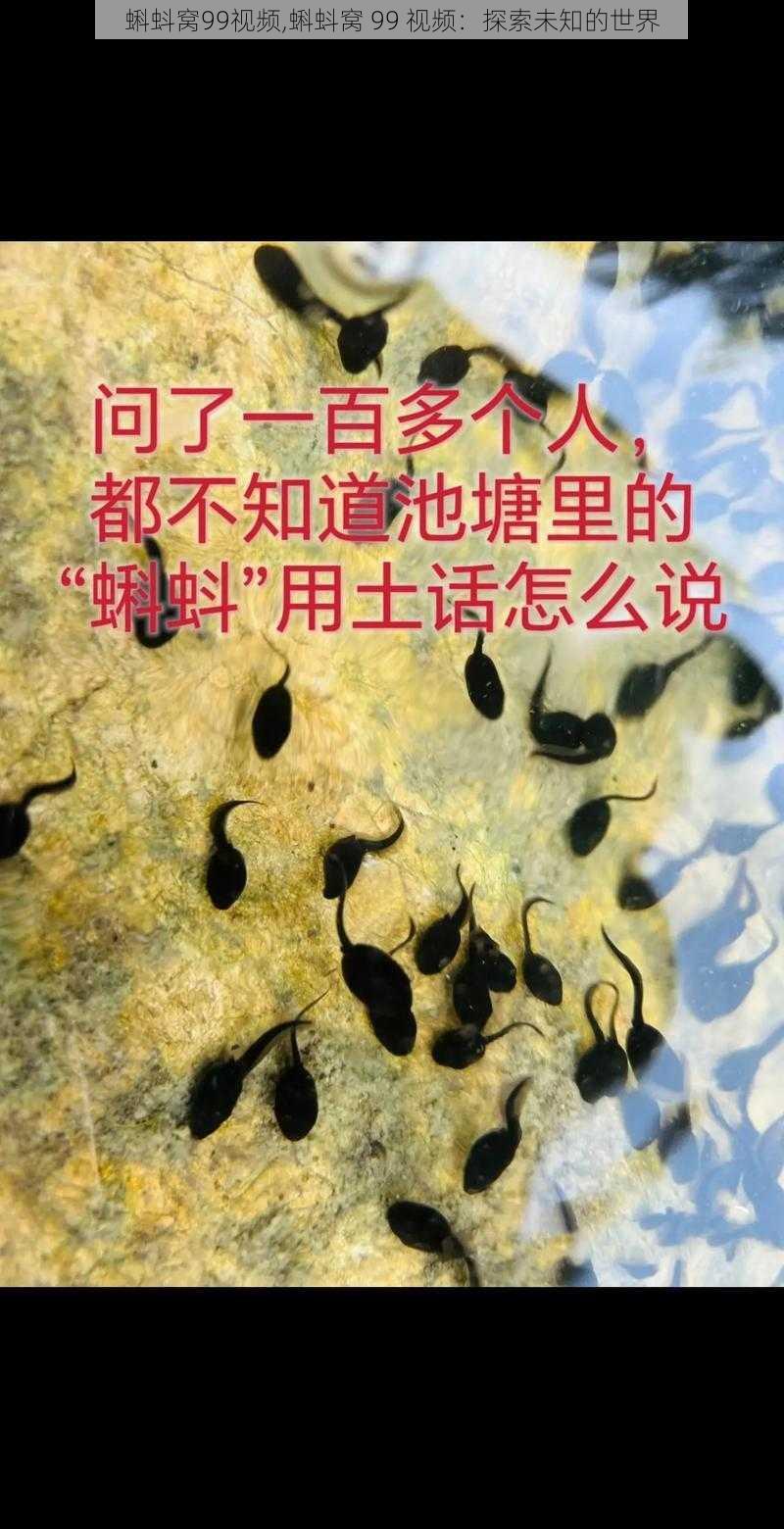 蝌蚪窝99视频,蝌蚪窝 99 视频：探索未知的世界