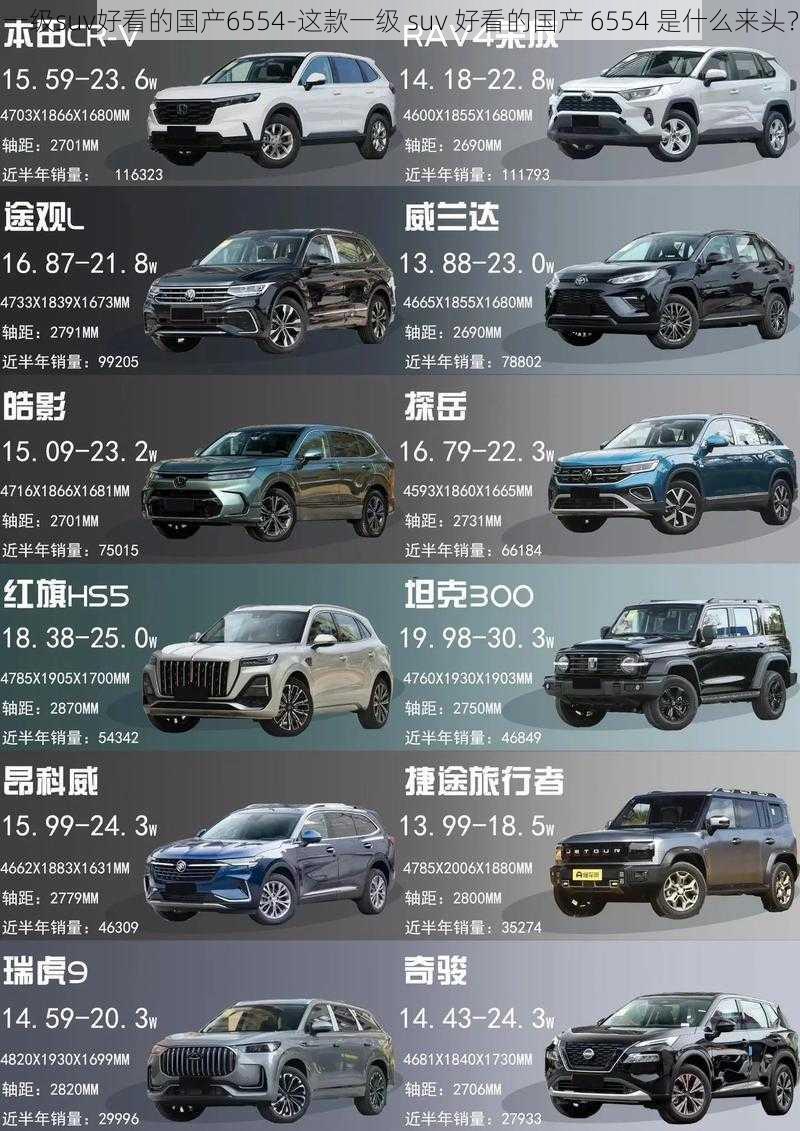 一级suv好看的国产6554-这款一级 suv 好看的国产 6554 是什么来头？