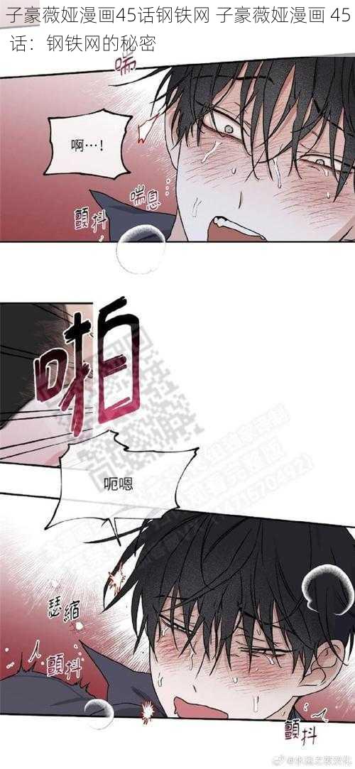 子豪薇娅漫画45话钢铁网 子豪薇娅漫画 45 话：钢铁网的秘密