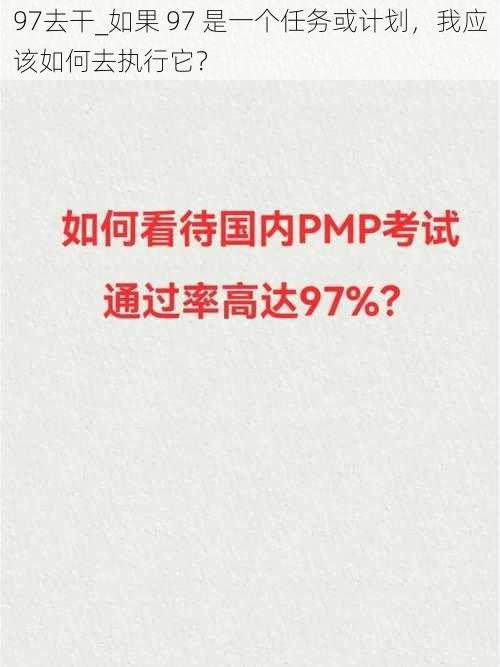 97去干_如果 97 是一个任务或计划，我应该如何去执行它？