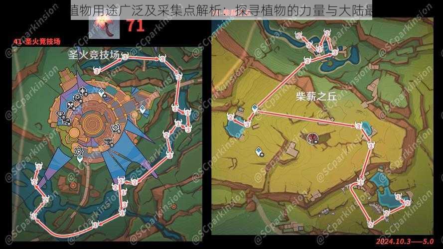 光明大陆植物用途广泛及采集点解析：探寻植物的力量与大陆最佳采集地