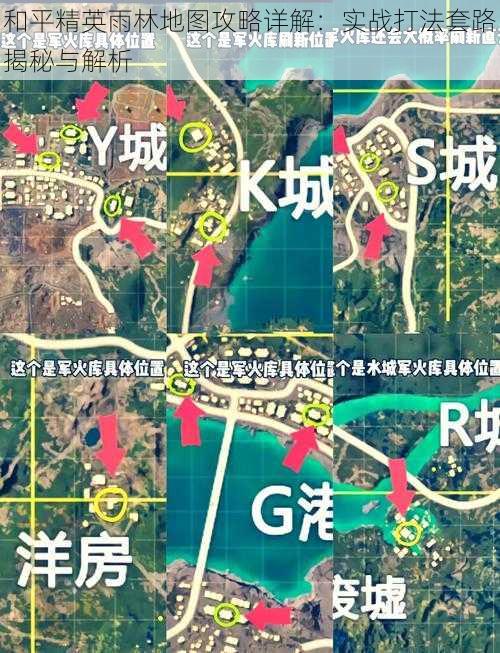 和平精英雨林地图攻略详解：实战打法套路揭秘与解析