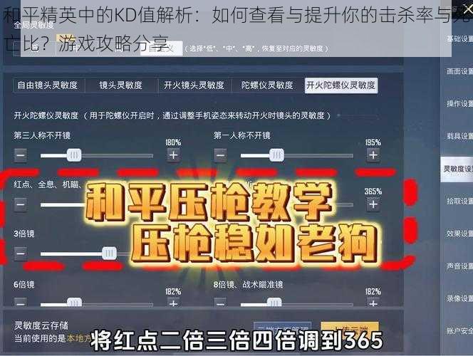 和平精英中的KD值解析：如何查看与提升你的击杀率与死亡比？游戏攻略分享