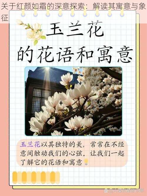 关于红颜如霜的深意探索：解读其寓意与象征