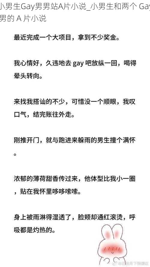 小男生Gay男男站A片小说_小男生和两个 Gay 男的 A 片小说