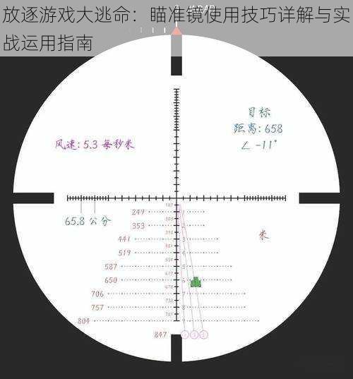 放逐游戏大逃命：瞄准镜使用技巧详解与实战运用指南