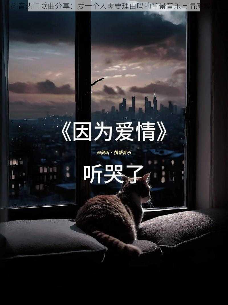 抖音热门歌曲分享：爱一个人需要理由吗的背景音乐与情感解读