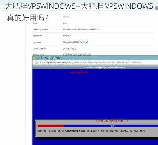 大肥胖VPSWINDOWS—大肥胖 VPSWINDOWS 真的好用吗？