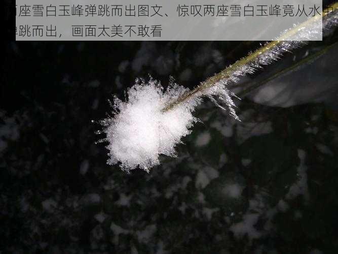 两座雪白玉峰弹跳而出图文、惊叹两座雪白玉峰竟从水中弹跳而出，画面太美不敢看