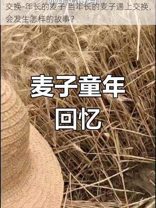 交换-年长的麦子 当年长的麦子遇上交换，会发生怎样的故事？