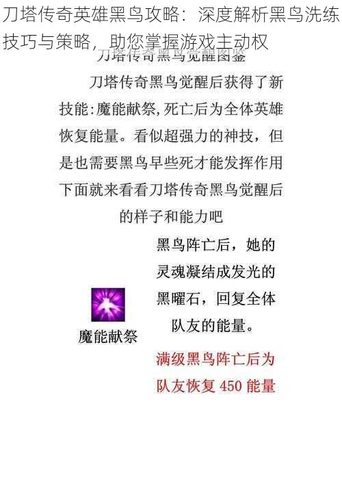 刀塔传奇英雄黑鸟攻略：深度解析黑鸟洗练技巧与策略，助您掌握游戏主动权