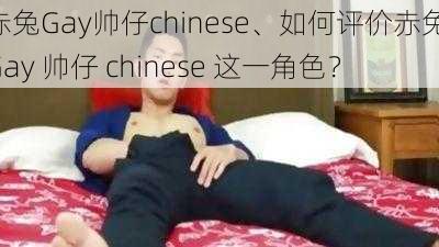 赤兔Gay帅仔chinese、如何评价赤兔 Gay 帅仔 chinese 这一角色？