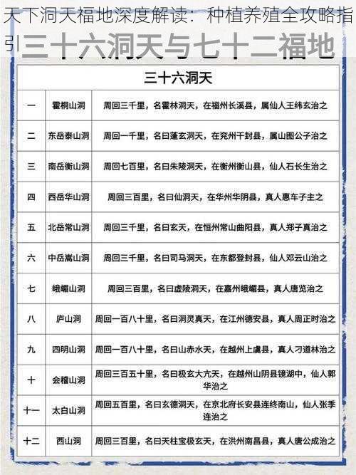 天下洞天福地深度解读：种植养殖全攻略指引