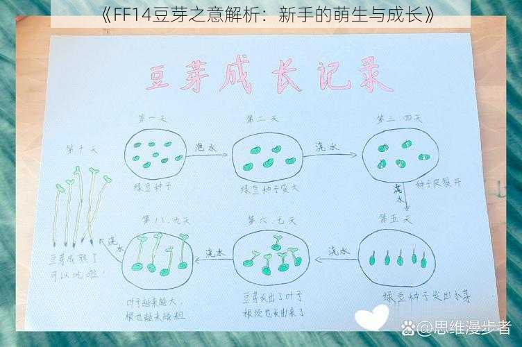 《FF14豆芽之意解析：新手的萌生与成长》