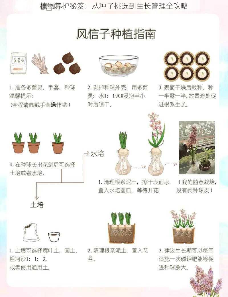 植物养护秘笈：从种子挑选到生长管理全攻略