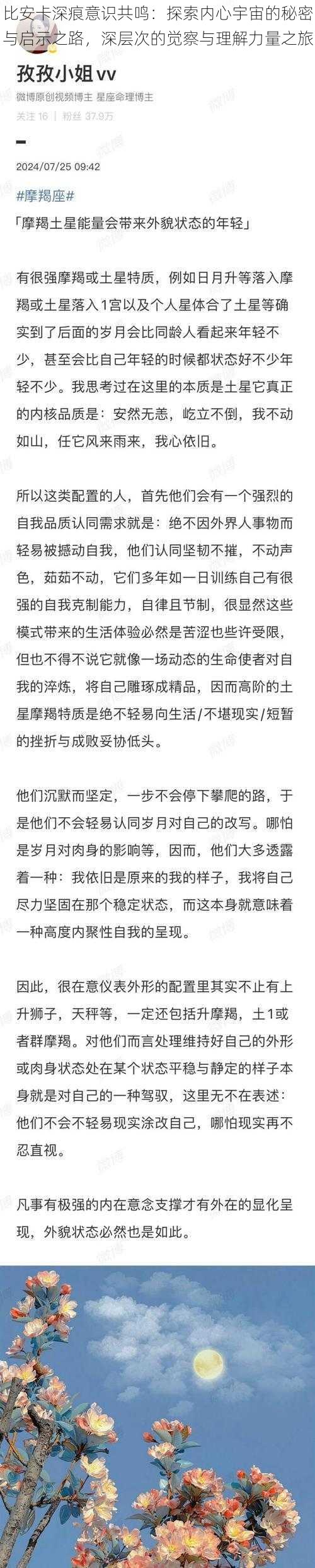 比安卡深痕意识共鸣：探索内心宇宙的秘密与启示之路，深层次的觉察与理解力量之旅