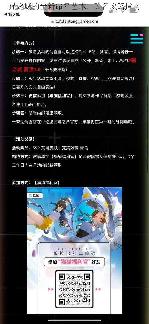 猫之城的全新命名艺术：改名攻略指南