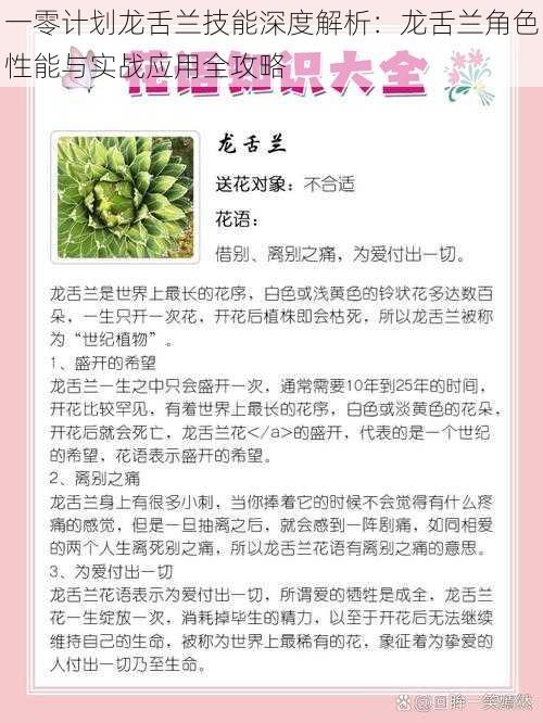 一零计划龙舌兰技能深度解析：龙舌兰角色性能与实战应用全攻略