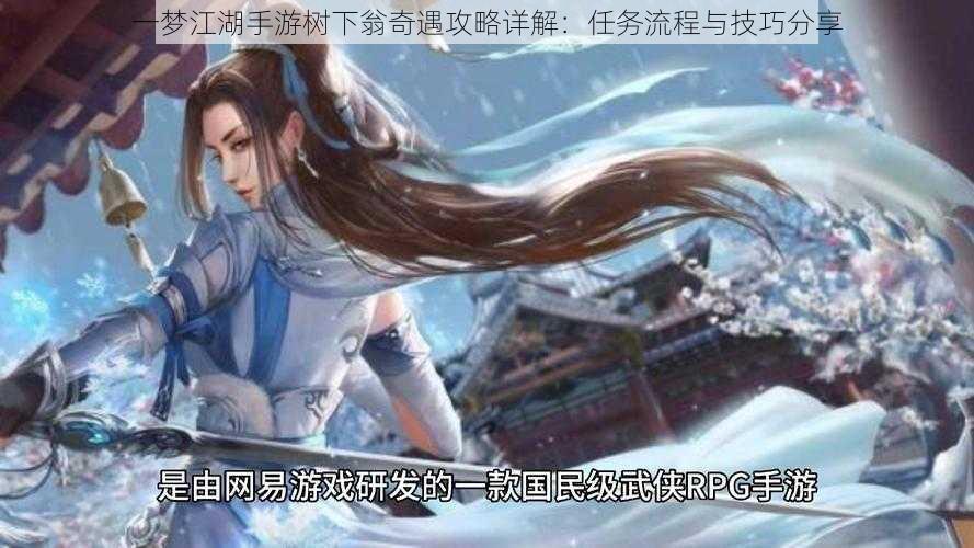 一梦江湖手游树下翁奇遇攻略详解：任务流程与技巧分享