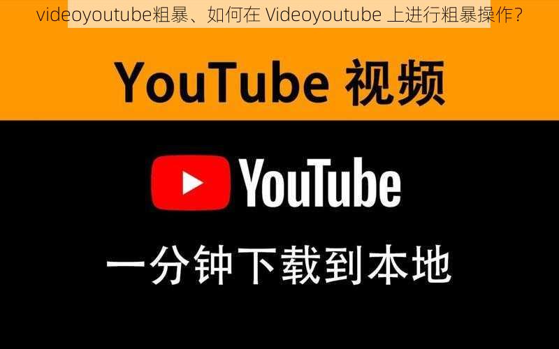 videoyoutube粗暴、如何在 Videoyoutube 上进行粗暴操作？