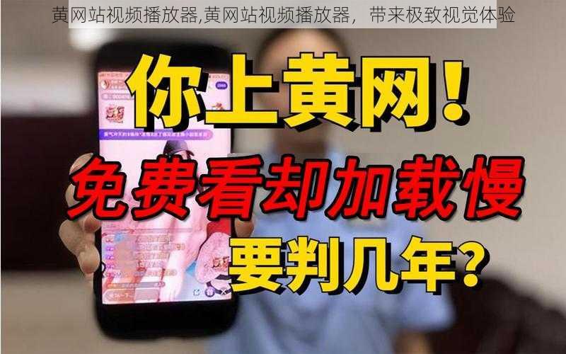 黄网站视频播放器,黄网站视频播放器，带来极致视觉体验