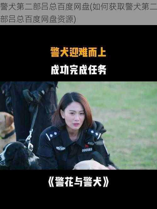 警犬第二部吕总百度网盘(如何获取警犬第二部吕总百度网盘资源)