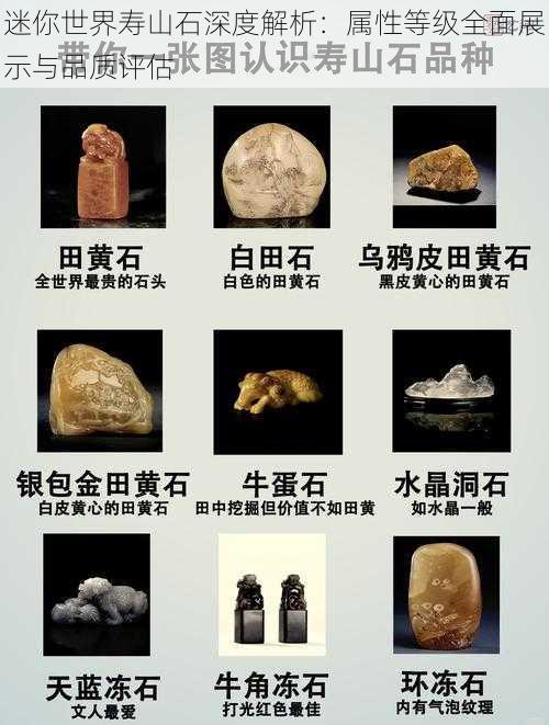 迷你世界寿山石深度解析：属性等级全面展示与品质评估