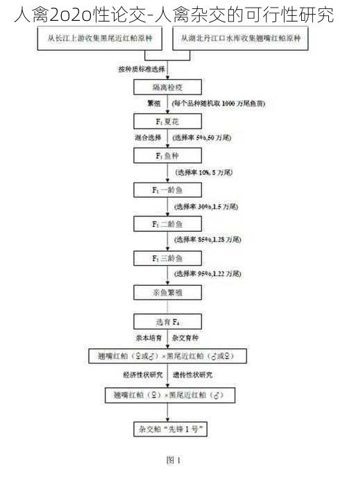 人禽2o2o性论交-人禽杂交的可行性研究