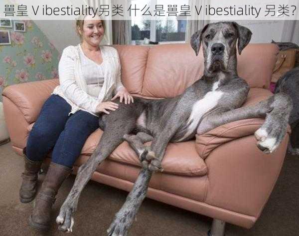 嘼皇Ⅴibestiality另类 什么是嘼皇Ⅴibestiality 另类？