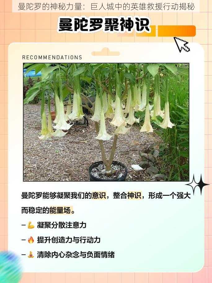 曼陀罗的神秘力量：巨人城中的英雄救援行动揭秘