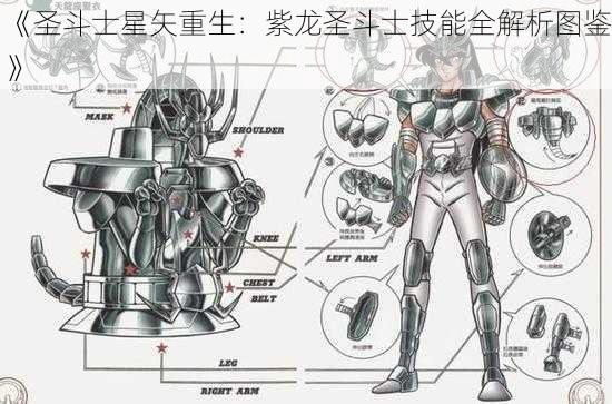 《圣斗士星矢重生：紫龙圣斗士技能全解析图鉴》