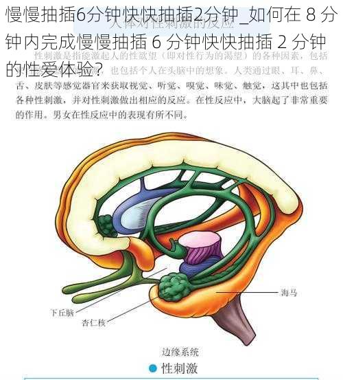 慢慢抽插6分钟快快抽插2分钟_如何在 8 分钟内完成慢慢抽插 6 分钟快快抽插 2 分钟的性爱体验？