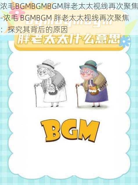 浓毛BGMBGMBGM胖老太太视线再次聚焦-浓毛 BGMBGM 胖老太太视线再次聚焦：探究其背后的原因