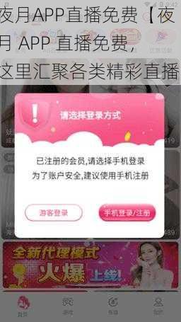 夜月APP直播免费【夜月 APP 直播免费，这里汇聚各类精彩直播】