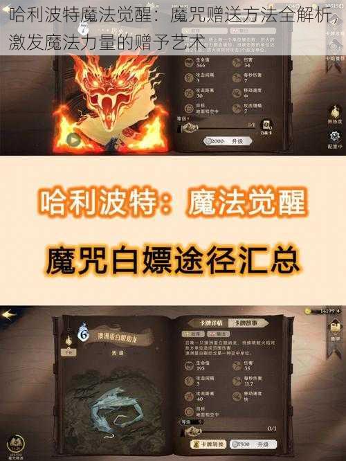 哈利波特魔法觉醒：魔咒赠送方法全解析，激发魔法力量的赠予艺术