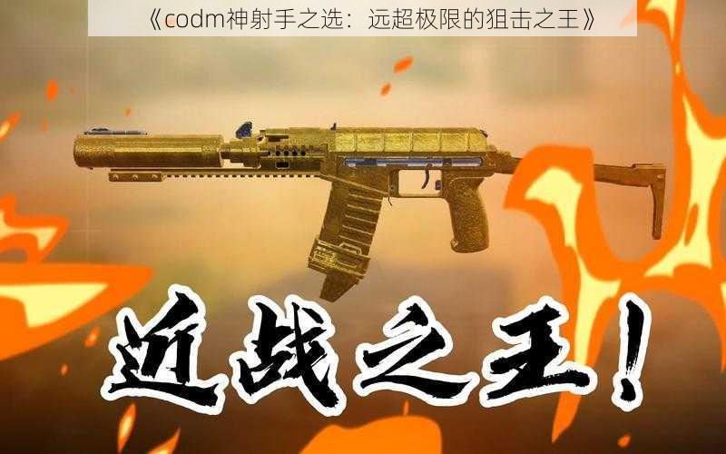 《codm神射手之选：远超极限的狙击之王》