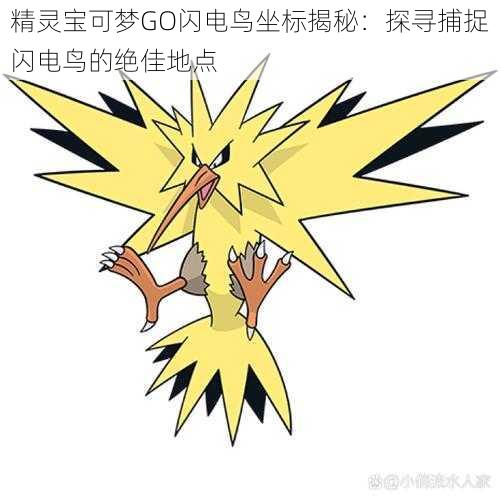 精灵宝可梦GO闪电鸟坐标揭秘：探寻捕捉闪电鸟的绝佳地点