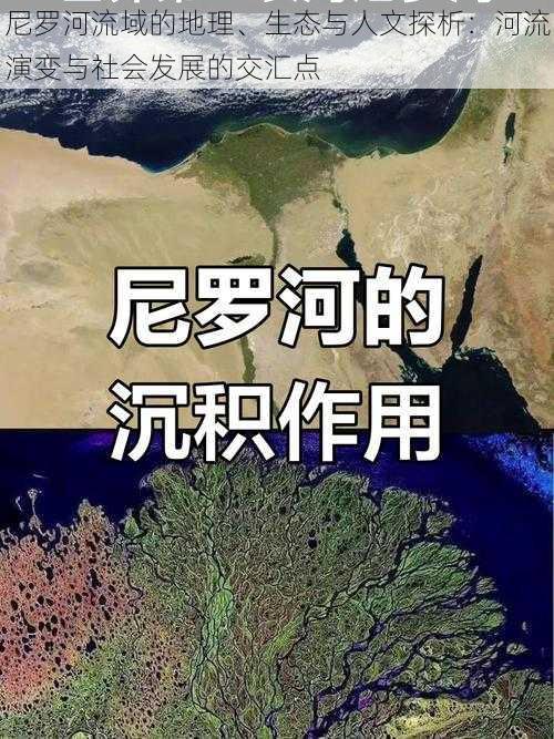 尼罗河流域的地理、生态与人文探析：河流演变与社会发展的交汇点